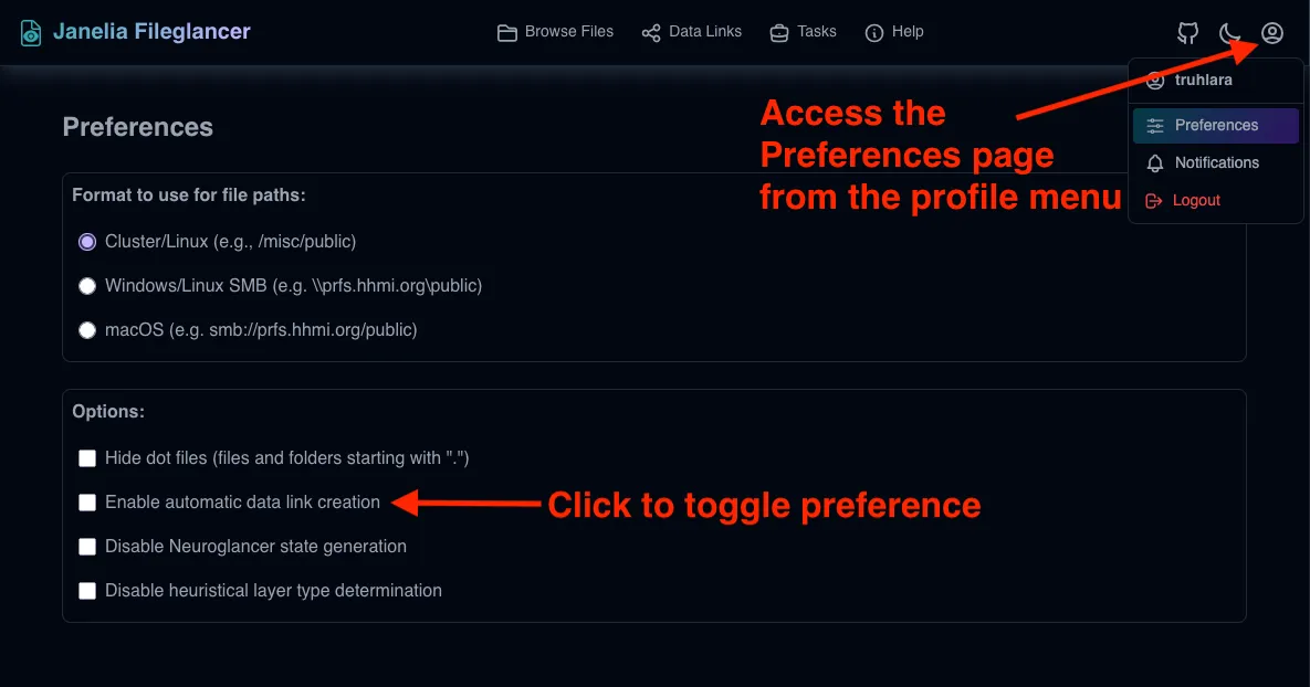 Screenshot of the Fileglancer user preferences page, with one arrow pointing to the profile menu icon in the navigation bar at the top of the interface, and one arrow pointing to the 'Automatic Data Links' section on the Preferences page.