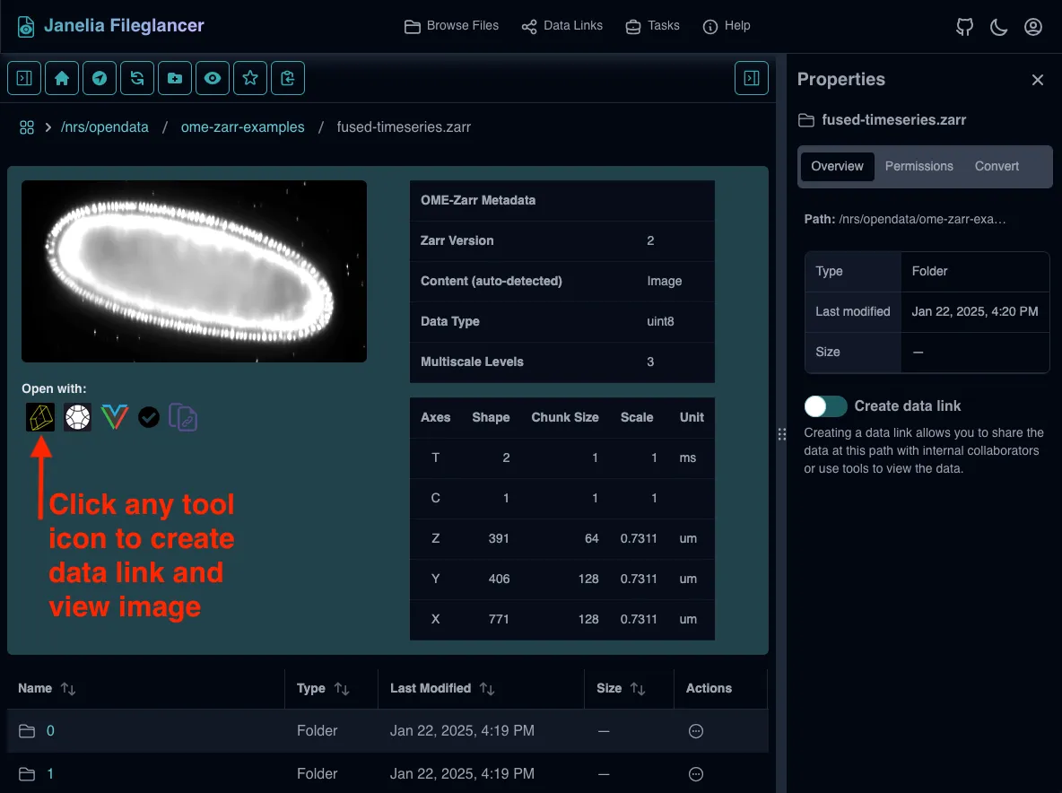 Screenshot of the Fileglancer interface, with arrows pointing to the Zarr viewer buttons under a Zarr thumbnail.