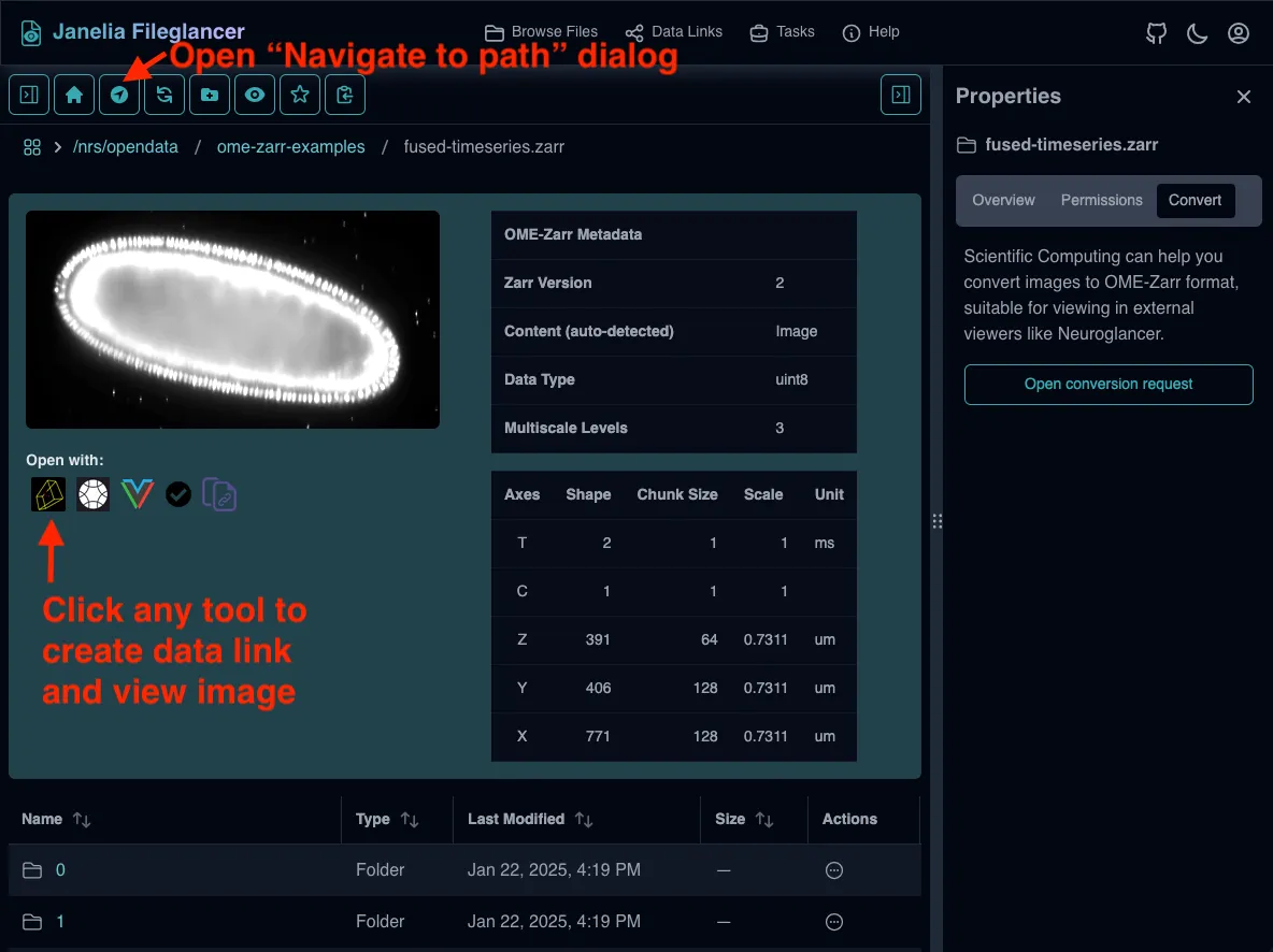 Screenshot of the Fileglancer interface, with an arrow pointing to the 'navigate to path' button in the toolbar and to the Zarr viewer buttons under a Zarr thumbnail.