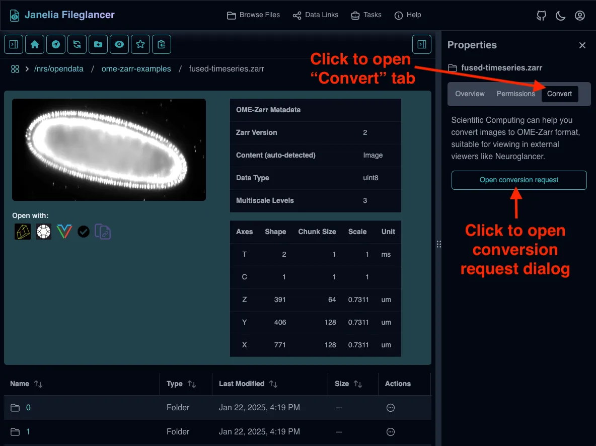 Screenshot of the Fileglancer interface, with an arrow pointing to the Conversion tab in the Properties panel on the right side of the screen, and the button in the Conversion tab to open the file conversion dialog.
