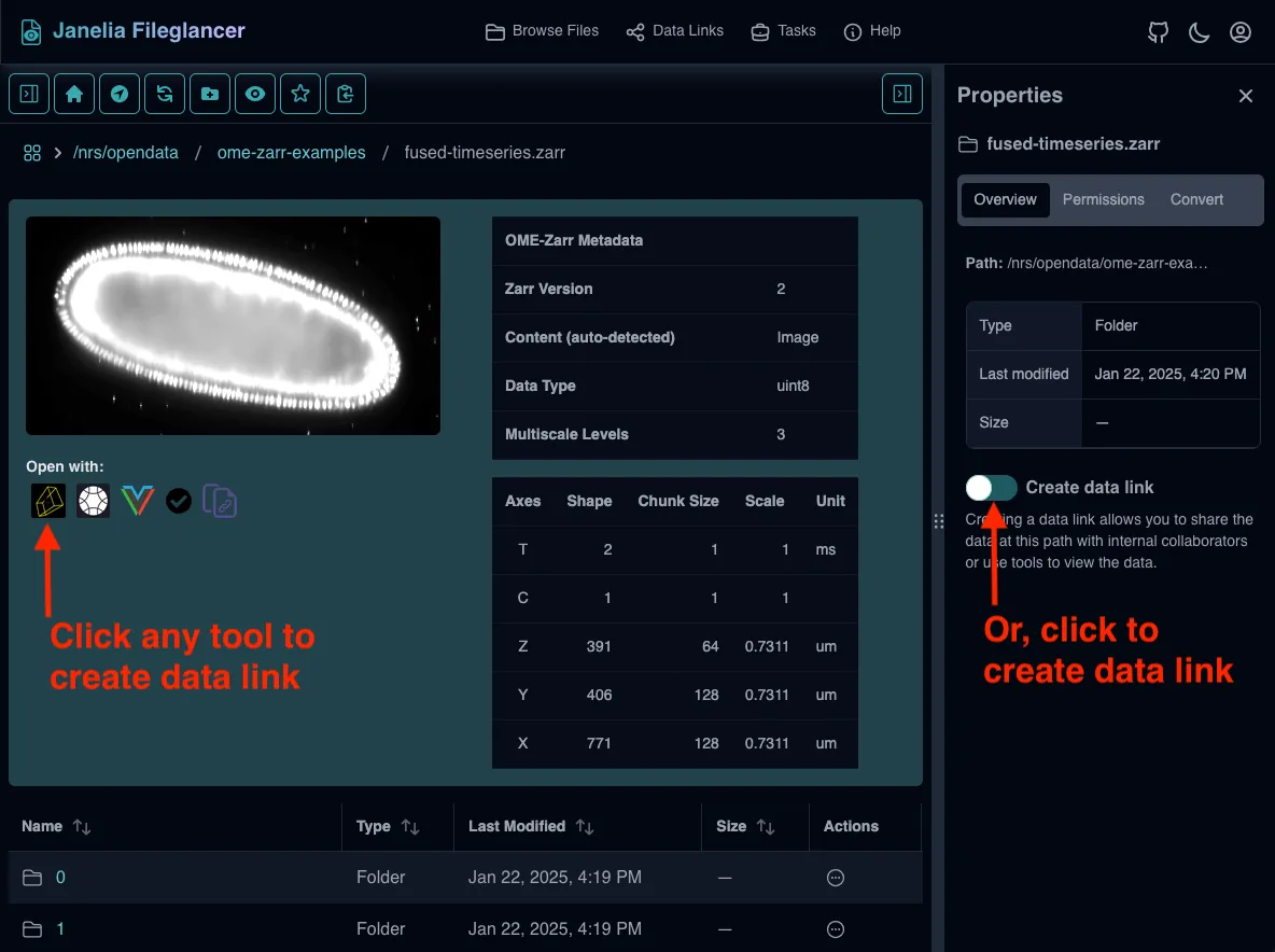 Screenshot of the Fileglancer interface, with one arrow pointing to the Zarr viewer buttons under a Zarr thumbnail and another arrow pointing to the 'Create data link' switch in the Overview tab of the Properties panel.