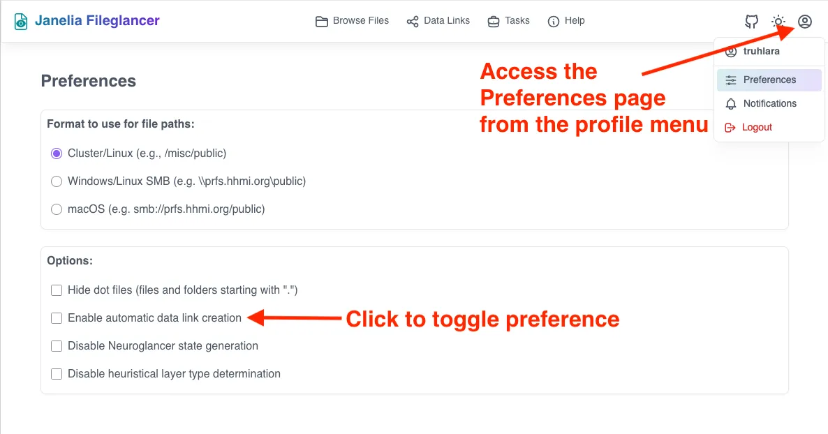 Screenshot of the Fileglancer user preferences page, with one arrow pointing to the profile menu icon in the navigation bar at the top of the interface, and one arrow pointing to the 'Automatic Data Links' section on the Preferences page.