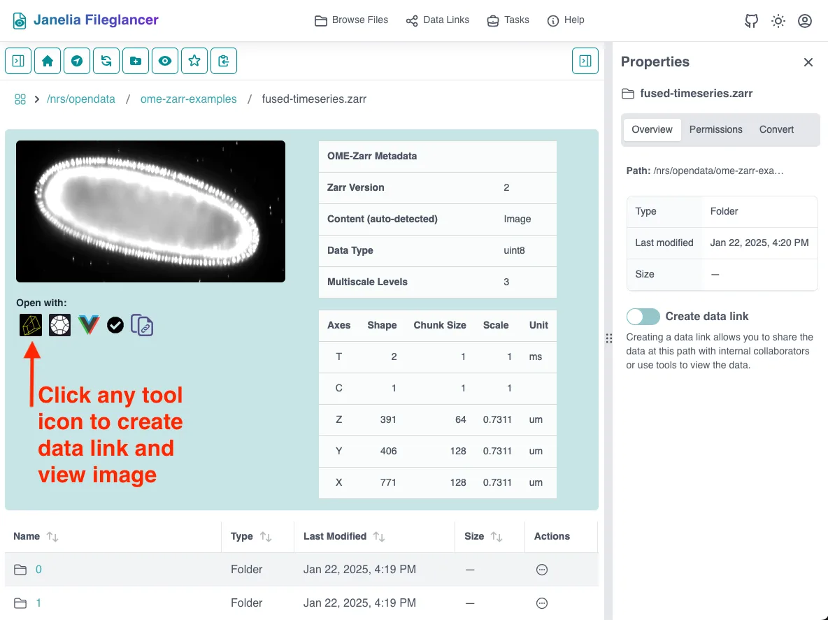 Screenshot of the Fileglancer interface, with arrows pointing to the Zarr viewer buttons under a Zarr thumbnail.