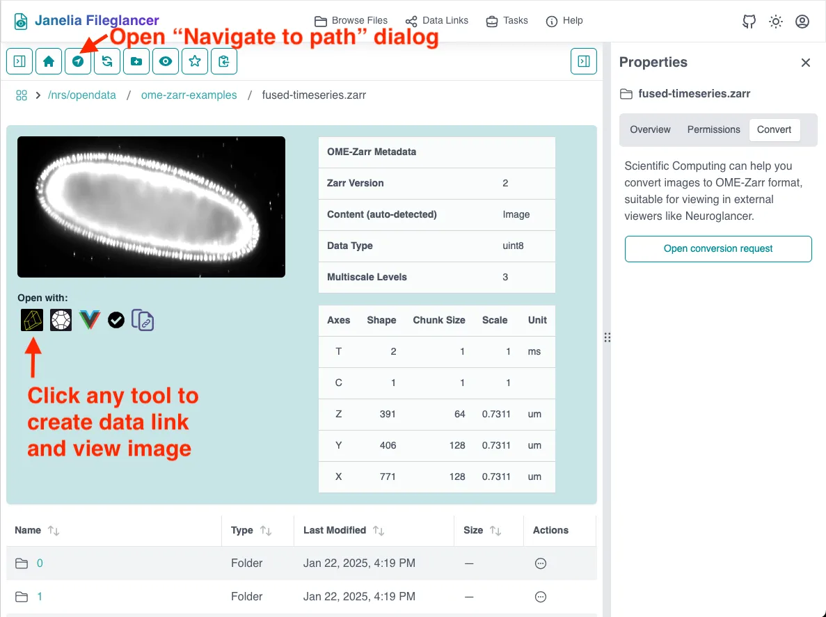 Screenshot of the Fileglancer interface, with an arrow pointing to the 'navigate to path' button in the toolbar and to the Zarr viewer buttons under a Zarr thumbnail.