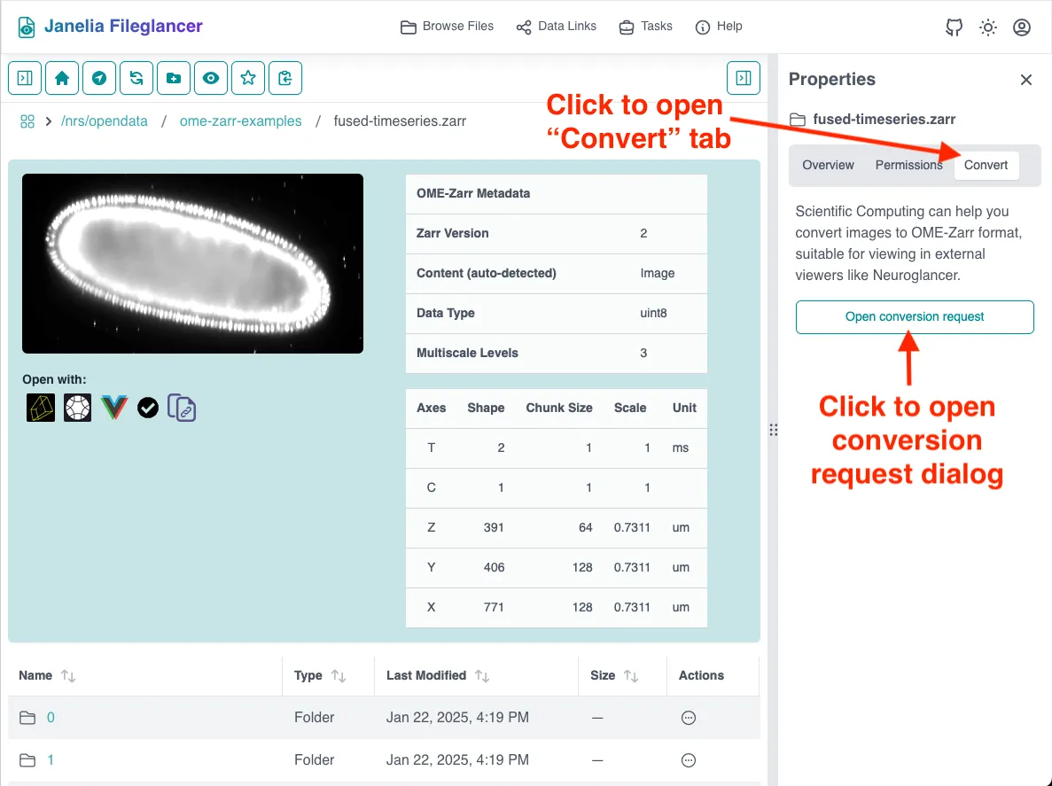 Screenshot of the Fileglancer interface, with an arrow pointing to the Conversion tab in the Properties panel on the right side of the screen, and the button in the Conversion tab to open the file conversion dialog.