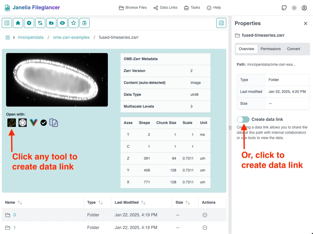 Screenshot of the Fileglancer interface, with one arrow pointing to the Zarr viewer buttons under a Zarr thumbnail and another arrow pointing to the 'Create data link' switch in the Overview tab of the Properties panel.